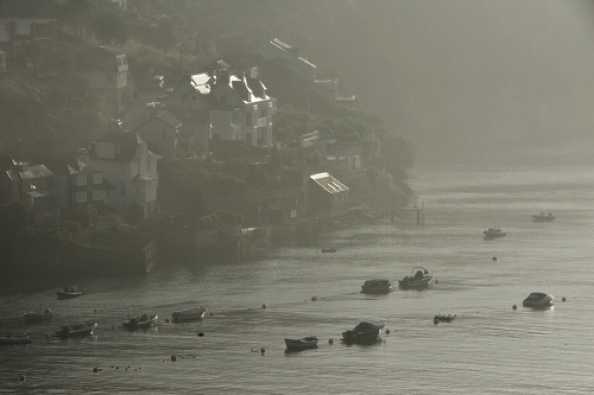 06 September 2021 - 08-36-15

-------------------
Sun & mist on the river Dart